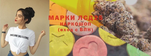 мдпв Горняк